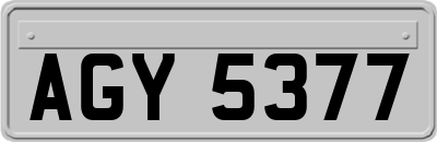AGY5377