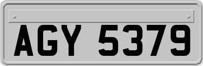 AGY5379