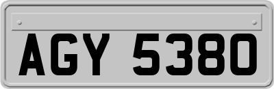 AGY5380