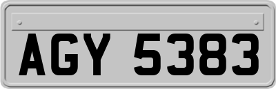 AGY5383