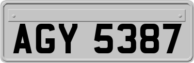 AGY5387