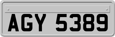 AGY5389