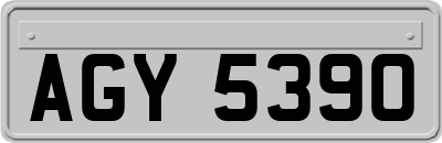 AGY5390