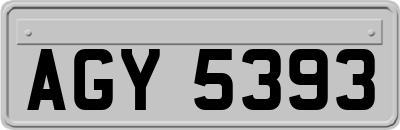 AGY5393