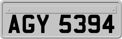 AGY5394