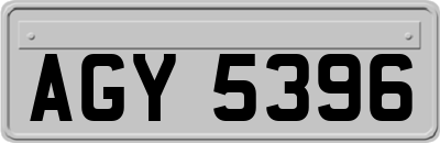 AGY5396