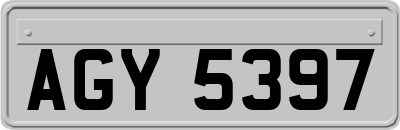 AGY5397