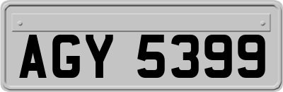 AGY5399