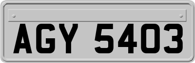 AGY5403