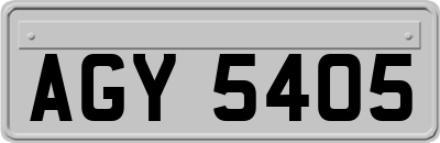 AGY5405
