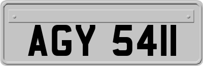 AGY5411