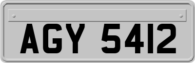 AGY5412
