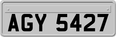 AGY5427