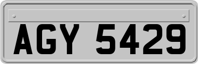 AGY5429