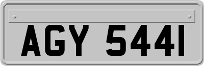 AGY5441
