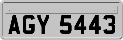 AGY5443