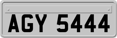 AGY5444