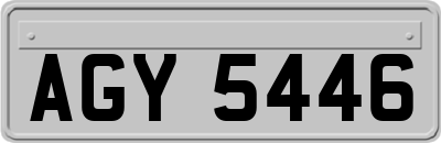 AGY5446