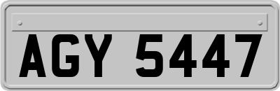 AGY5447