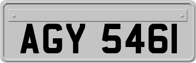 AGY5461