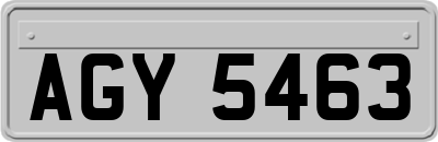AGY5463