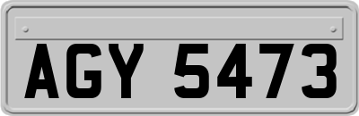 AGY5473