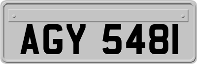 AGY5481