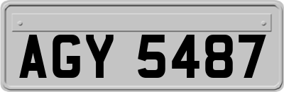 AGY5487