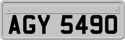 AGY5490
