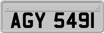 AGY5491