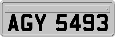AGY5493