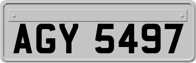 AGY5497