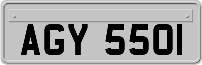 AGY5501