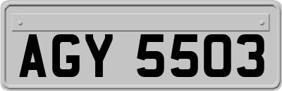 AGY5503