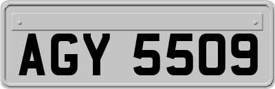 AGY5509