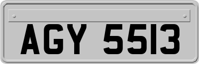 AGY5513