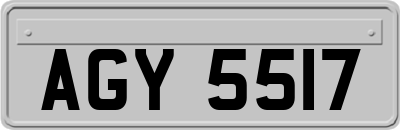 AGY5517