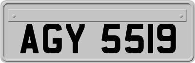 AGY5519