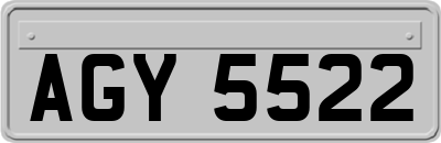 AGY5522