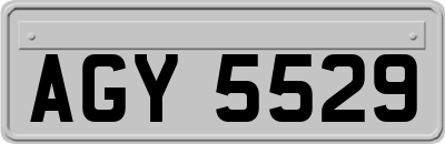 AGY5529