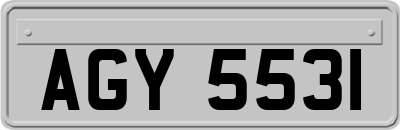 AGY5531