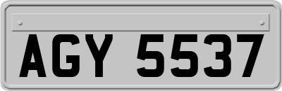 AGY5537