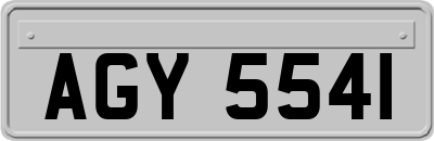 AGY5541
