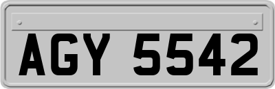 AGY5542