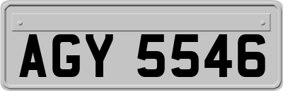 AGY5546