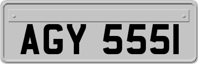 AGY5551