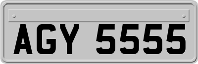 AGY5555