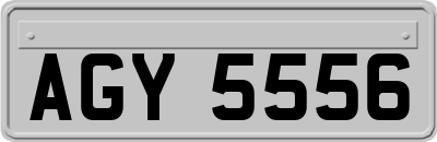AGY5556