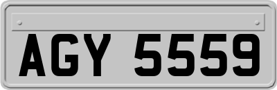 AGY5559