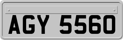 AGY5560